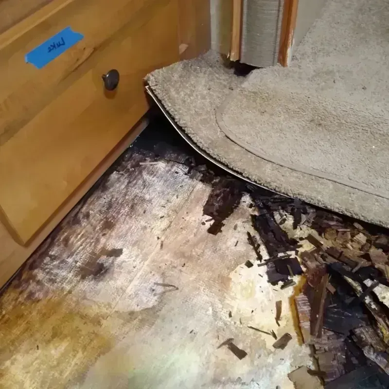 Wood Floor Water Damage in Colorado City, CO